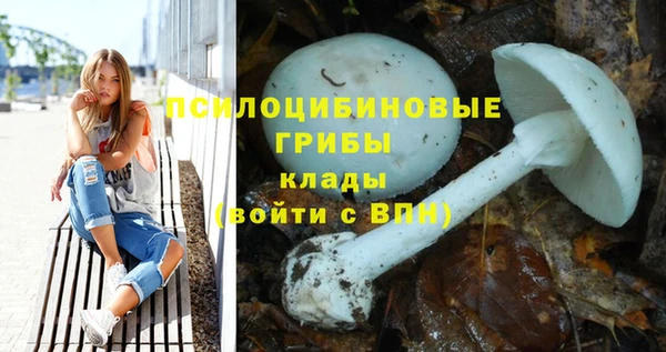 наркотики Богородск