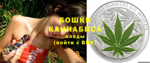 дживик Богданович